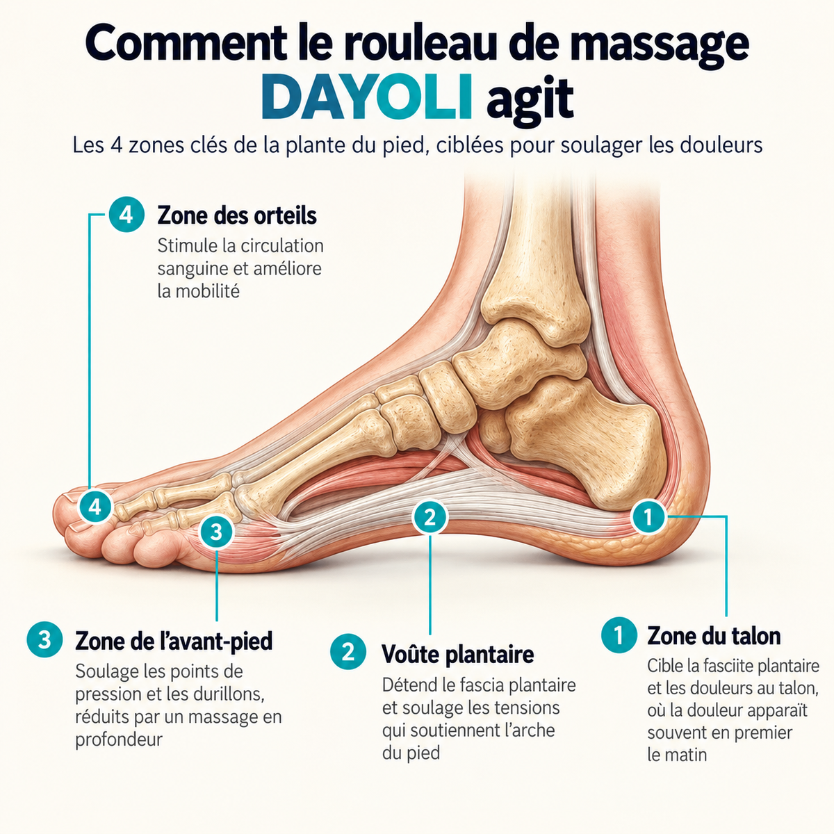 Dayoli — Rouleau Plantaire Vibrant